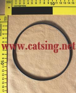 SCANIA TRUCK Oil Spinner O-Ring  1769799