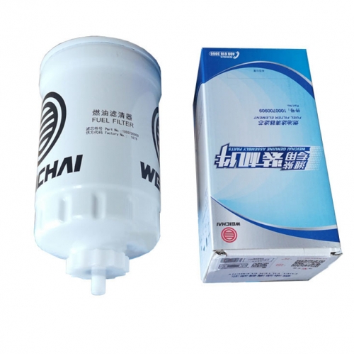 Weichai Fuel Filter 1000700909, 612600080248, 1000816691, CX0710B